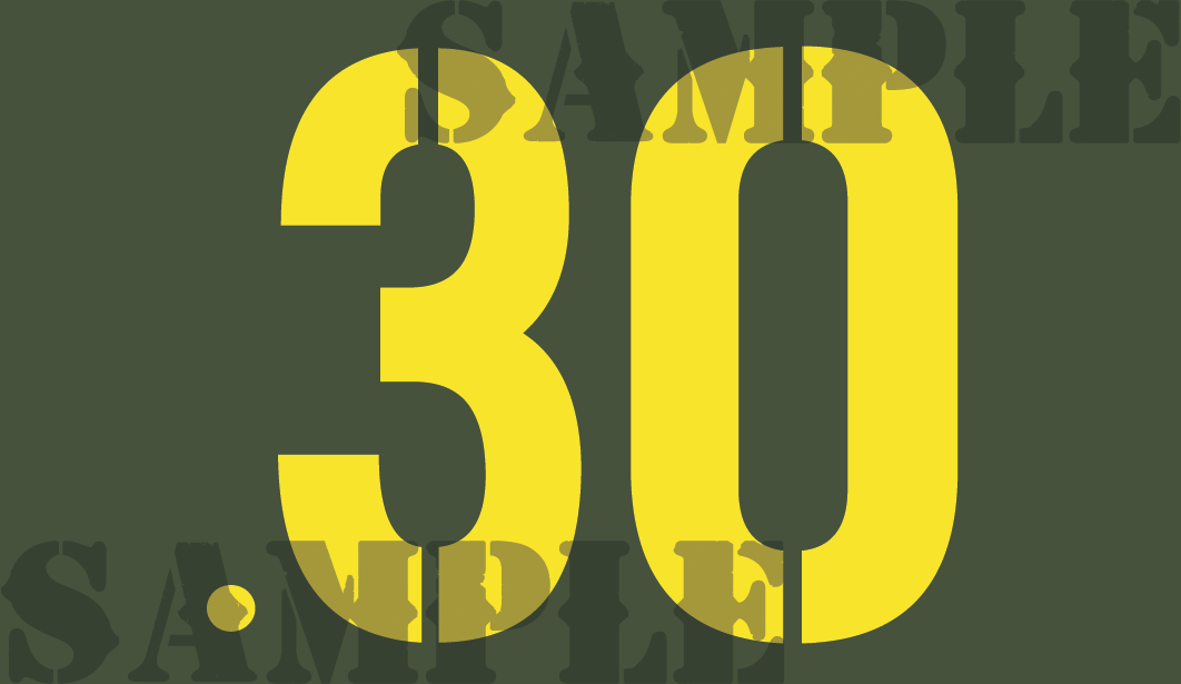 .30 - Yellow - Stencil  - .50Cal