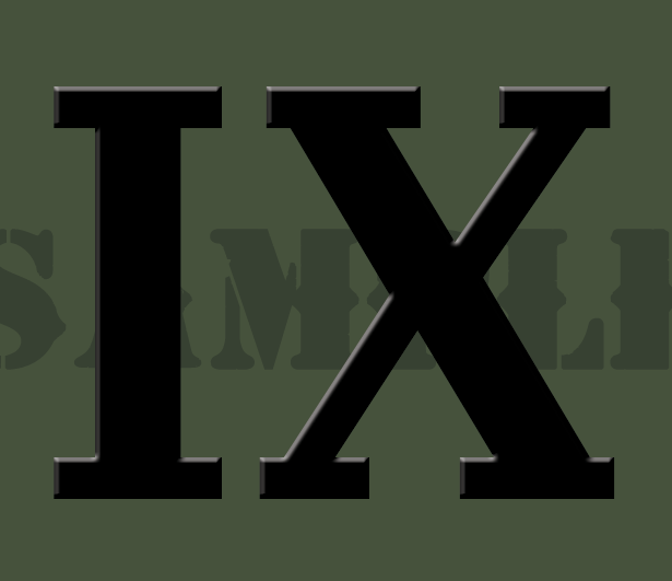Roman Numeral "IX" - Black - .30Cal (NC)
