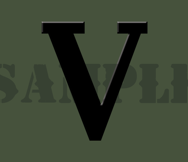 Roman Numeral "V" - Black - .30Cal (NC)