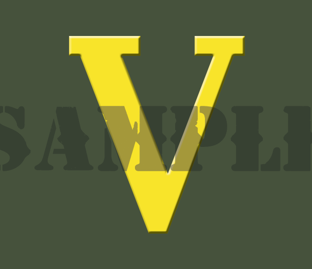 Roman Numeral "V" - Yellow - .30Cal (NC)