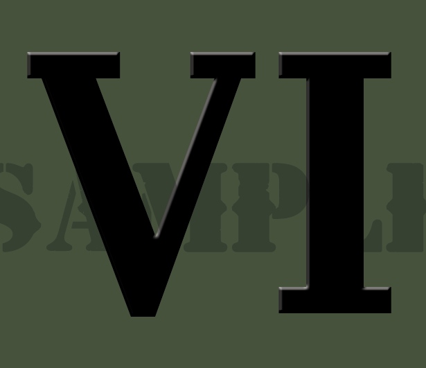 Roman Numeral "VI" - Black - .30Cal (NC)