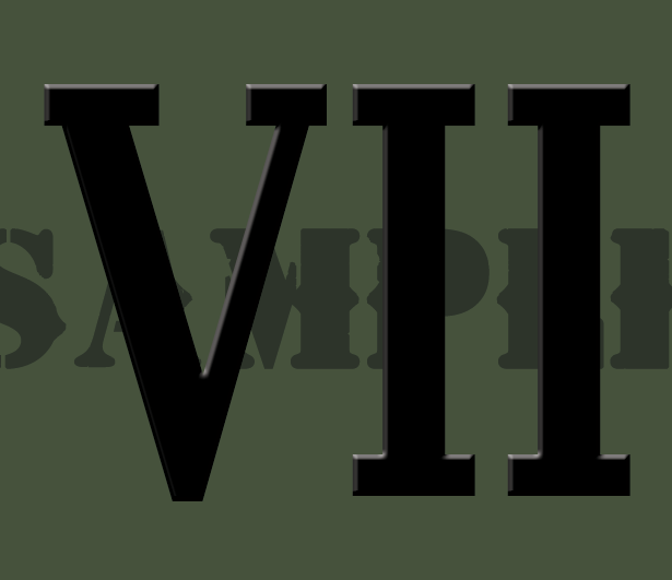 Roman Numeral "VII" - Black - .30Cal (NC)