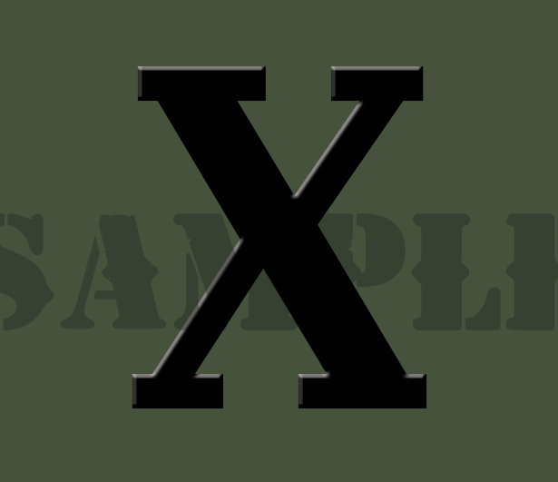 Roman Numeral "X" - Black - .30Cal (NC)