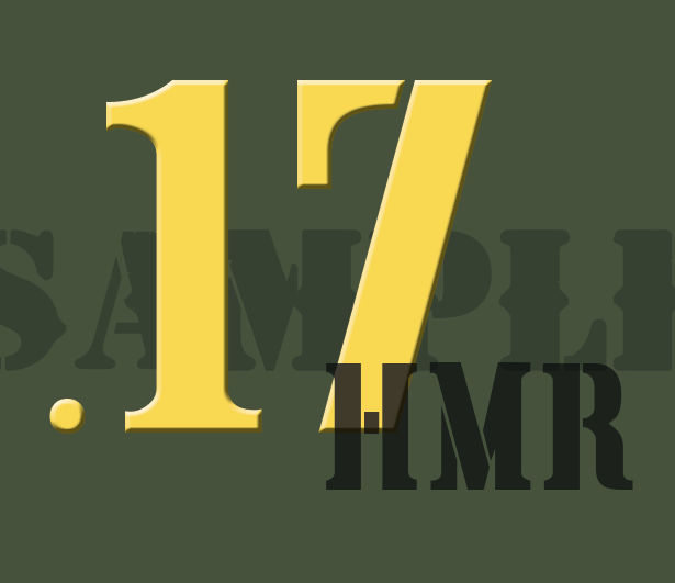 .17HMR - Yellow - Stencil  - .30Cal