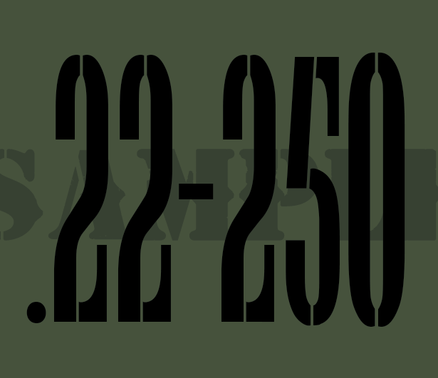 .22-250 - Black - Stencil  - .30Cal