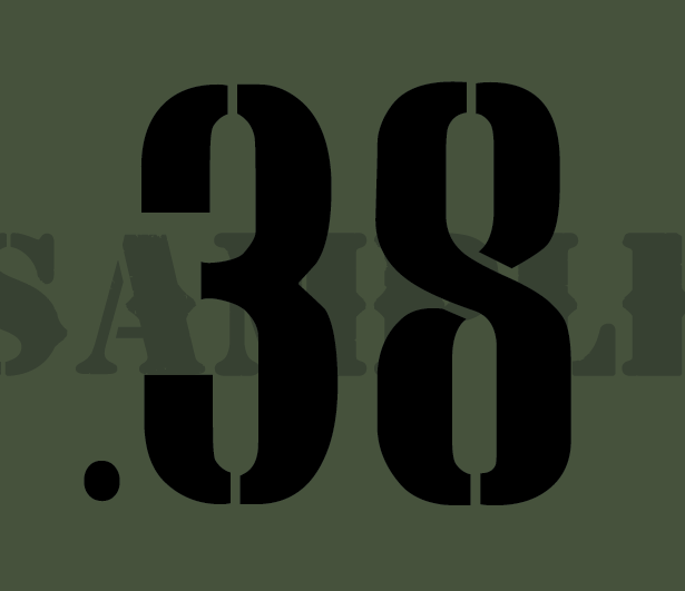 .38 - Black - Stencil  - .30Cal