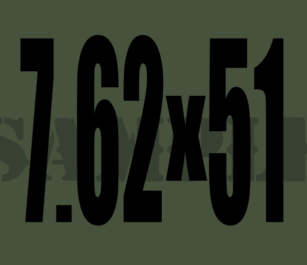 7.62x51 - Black - Standard  - .30Cal
