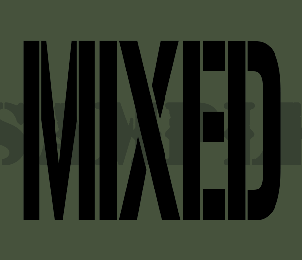 MIXED - Black - Stencil   - .30Cal (NC)