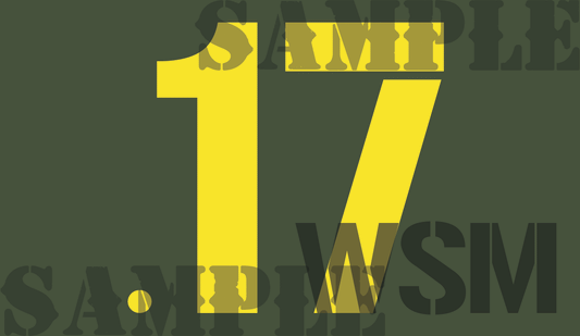 .17WSM - Yellow - Stencil  - .50Cal