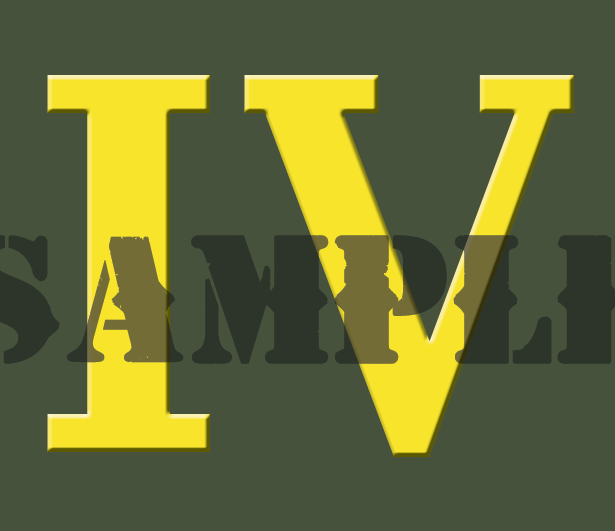 Roman Numeral "IV" - Yellow - .30Cal (NC)