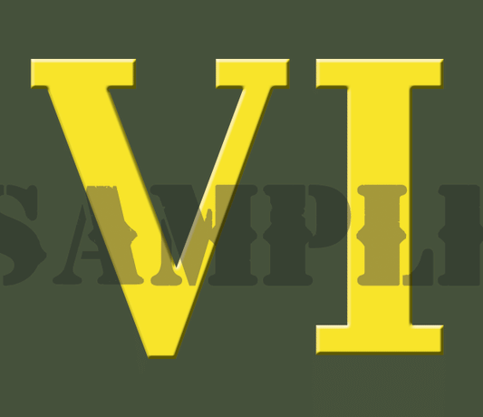 Roman Numeral "VI" - Yellow - .30Cal (NC)