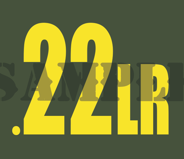 .22LR - Yellow - Standard  - .30Cal