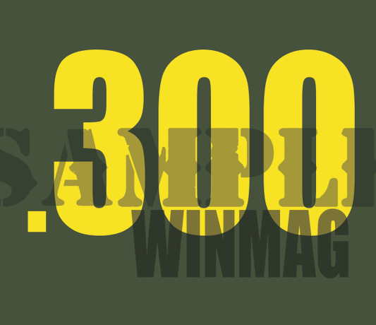 300 WinMag - Yellow - Standard  - .30Cal
