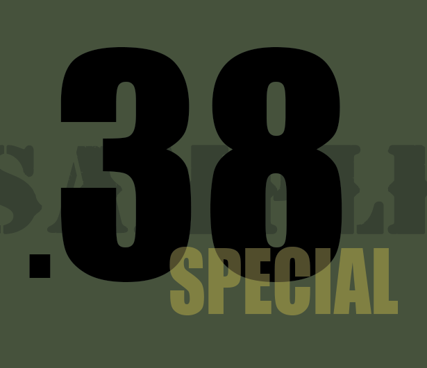 .38 Special - Black - Standard - .30Cal