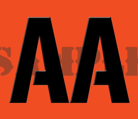 AA Sticker - Orange - Stencil  - .30Cal (NC)